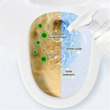 Multi-Purpose Oxalic Acid Stain Removal Spray 300ML (Pack of 2)